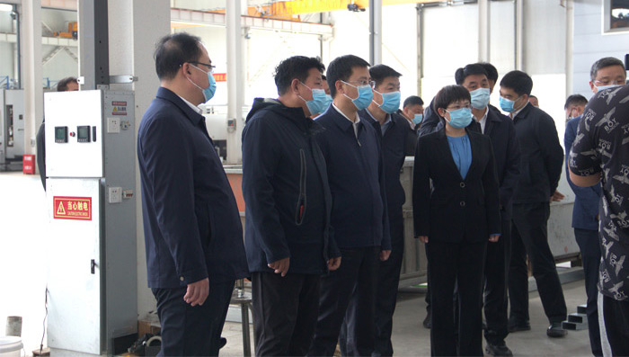 Leaders of the Party Committee and Government of Wen'an County come to the factory to guide work